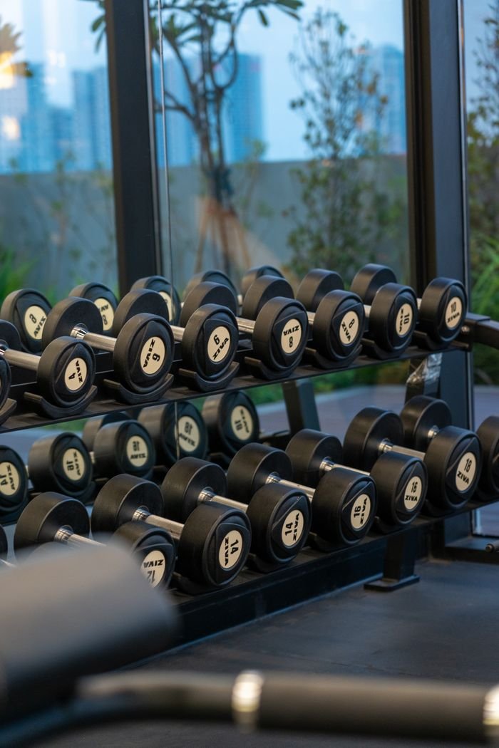 Services Dumbbell rack in a modern gym with cityscape view in Dubai, UAE.